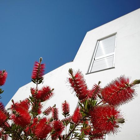 Canvas Apartments&Lofts Cadaqués Exterior photo