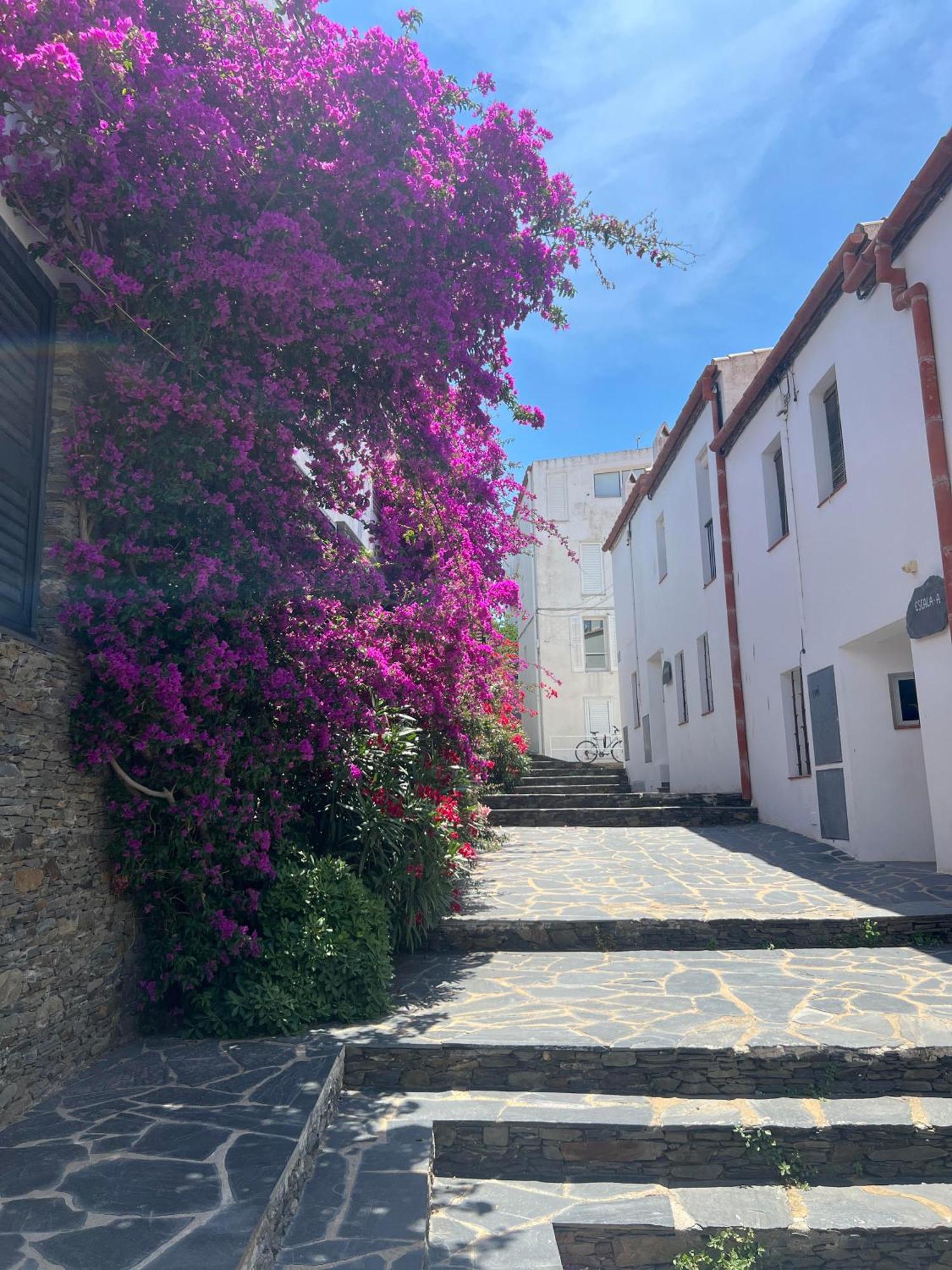 Canvas Apartments&Lofts Cadaqués Exterior photo