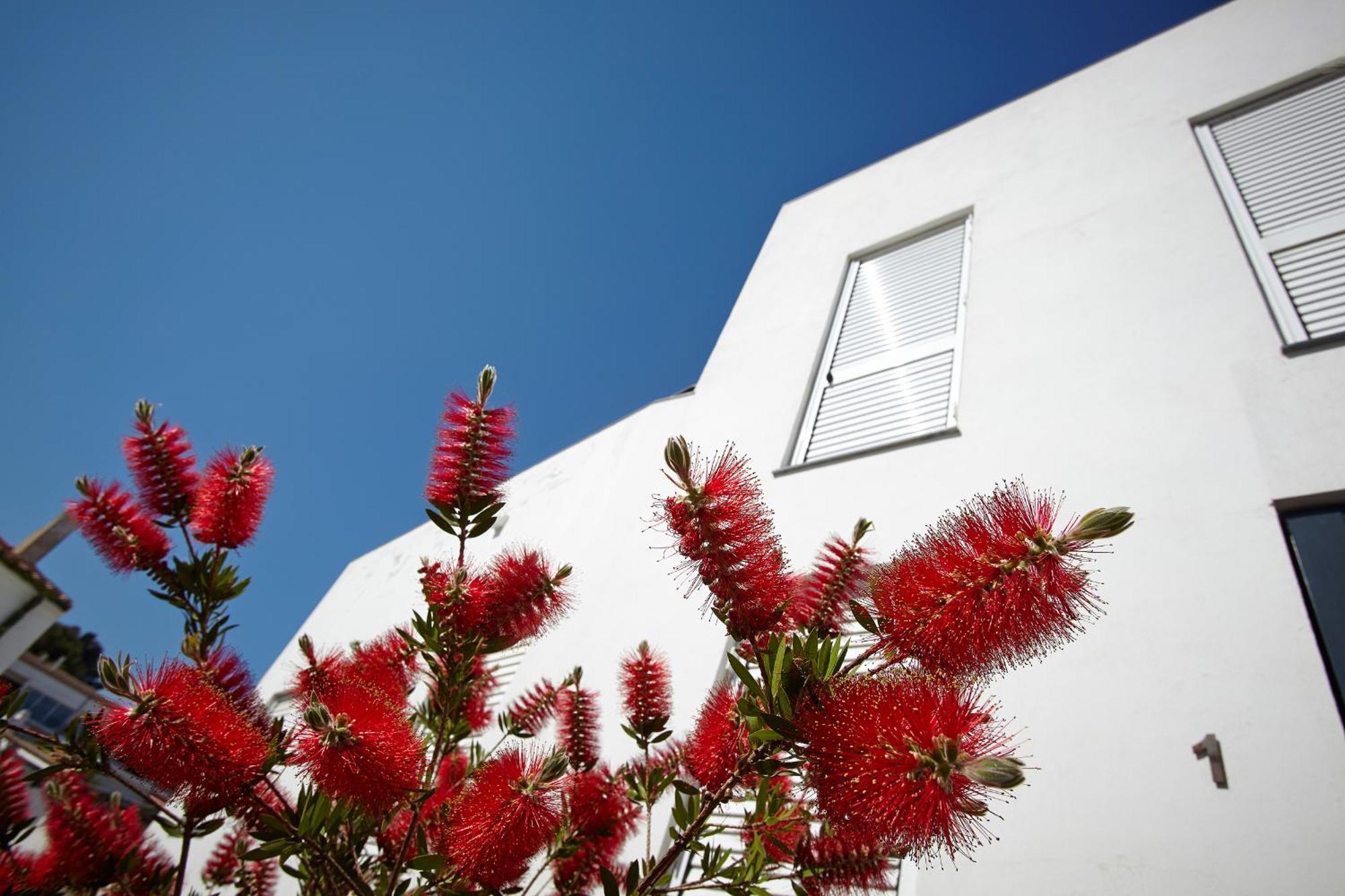 Canvas Apartments&Lofts Cadaqués Exterior photo